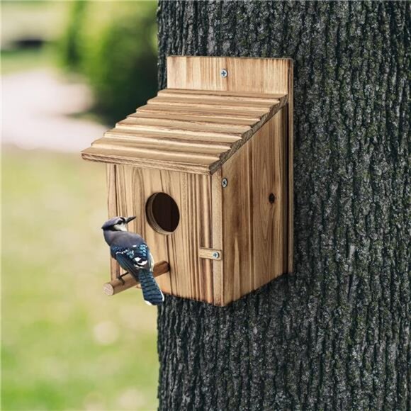Wood Bird Houses for Outside with Pole Wooden Bird House for Finch Bluebird - Picture 2 of 7